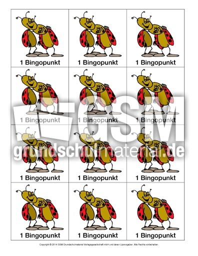 Bingopunkte-Käfer.pdf